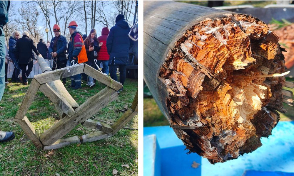 Упавший столб на масленичный гуляниях в Бресте. 10 марта 2024 года. Фото: «Брестский вестник».