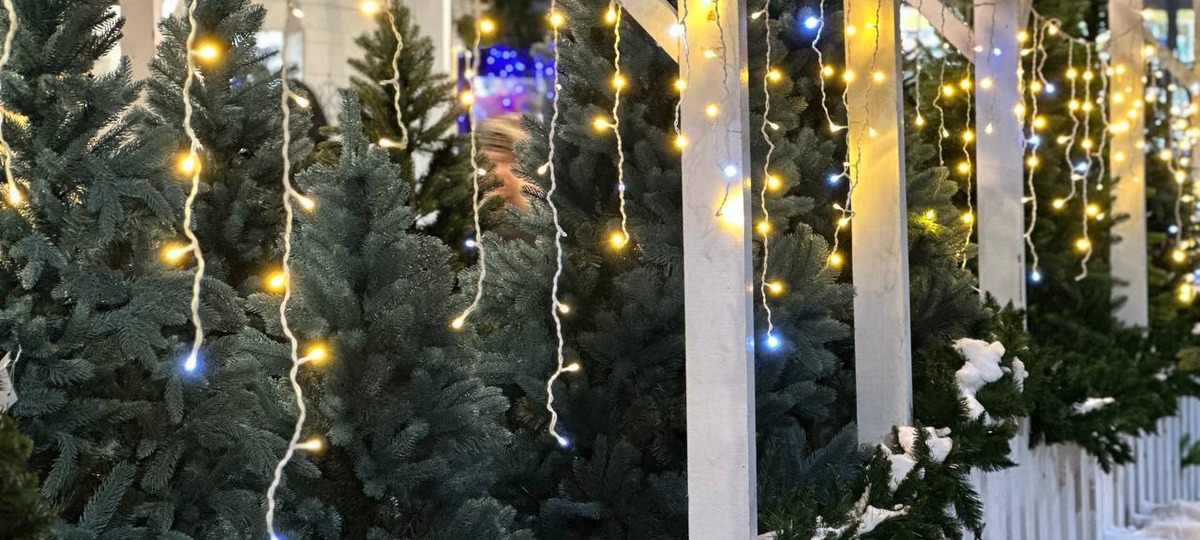 Елочный базар на рождественской ярмарке по улице Гоголя в Бресте. Декабрь 2023 года.