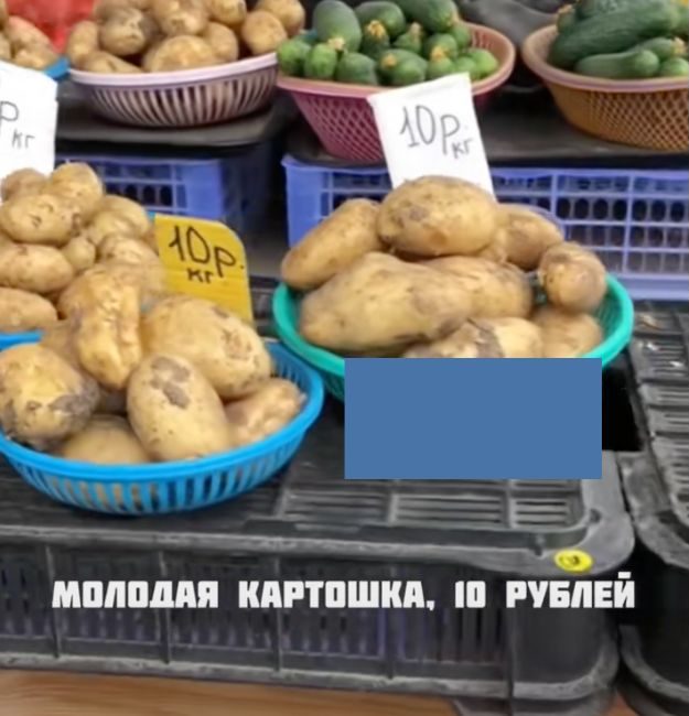 Скриншот с ролика TikTok. 