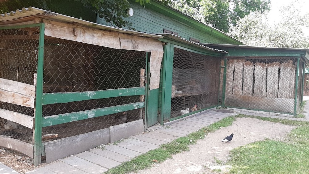 «Уголок живой природы» в брестском парке культуры и отдыха. Фото: телеграм-канал Александра Рогачука.