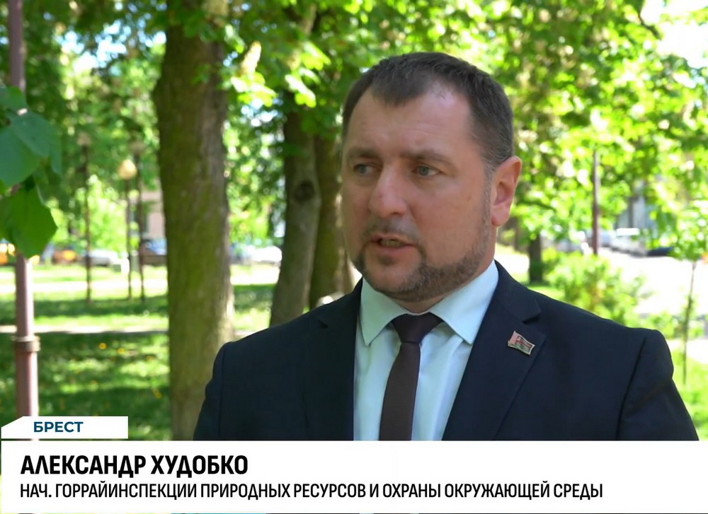 Александр Худобко, начальник горрайинспекции природных ресурсов