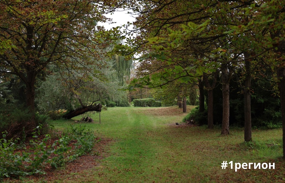 Аллея в дендрарии Бреста