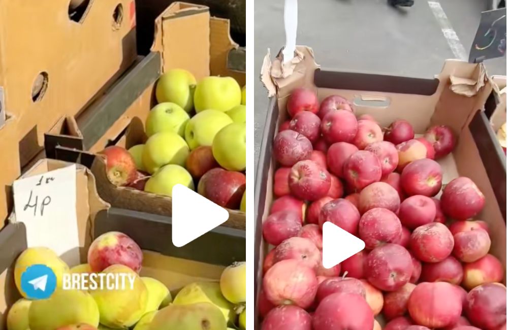 Цены на яблоки на сельскохозяйственной ярмарке в Бресте.