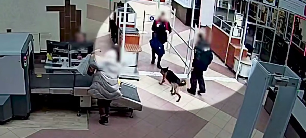 Служебная собака среагировала на молодого человека на границе Беларуси. Скриншот видео ГТК