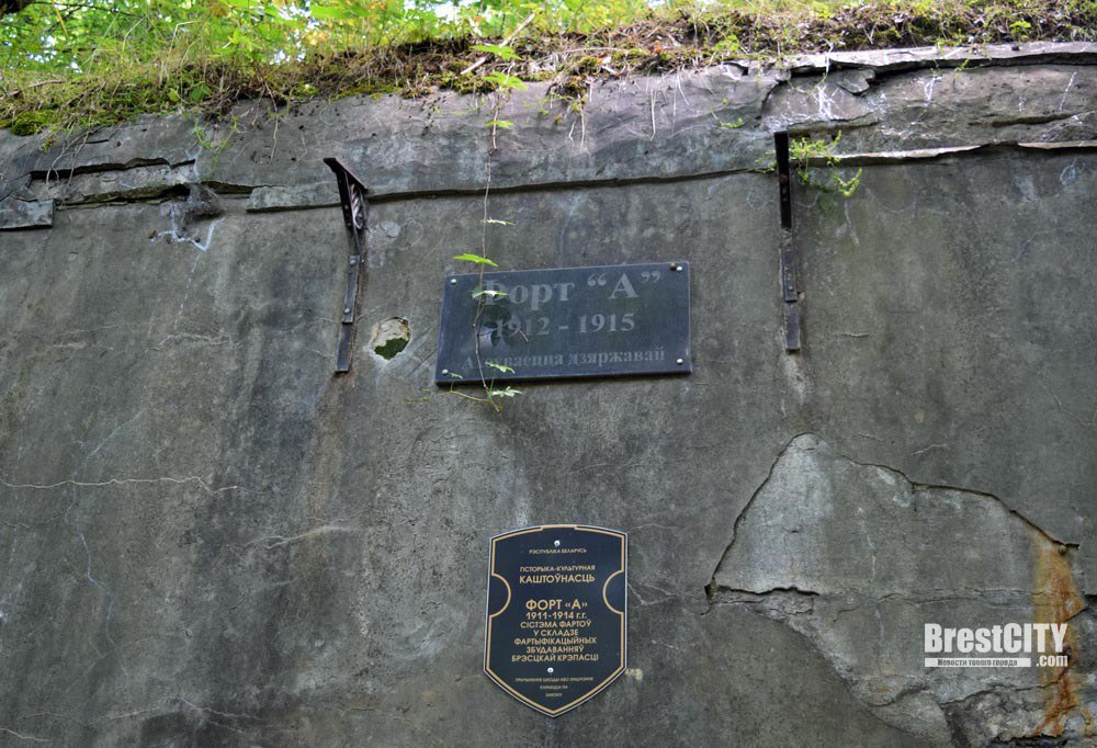 Заказник «Барбастела» на территории Брестской крепости.