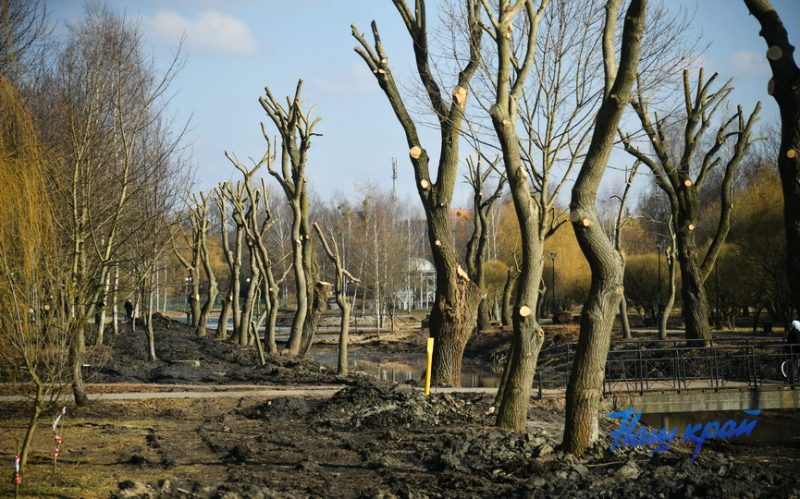 В Барановичах чистят канал Светиловского озера. Фото: «Наш край»