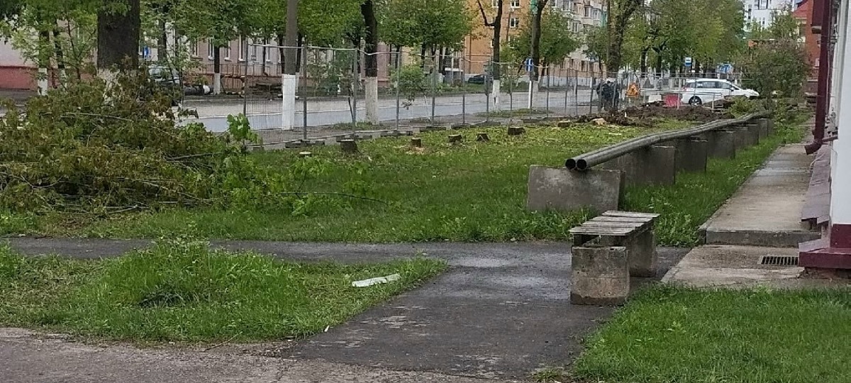 На улице Герцена в Витебске спилили деревья