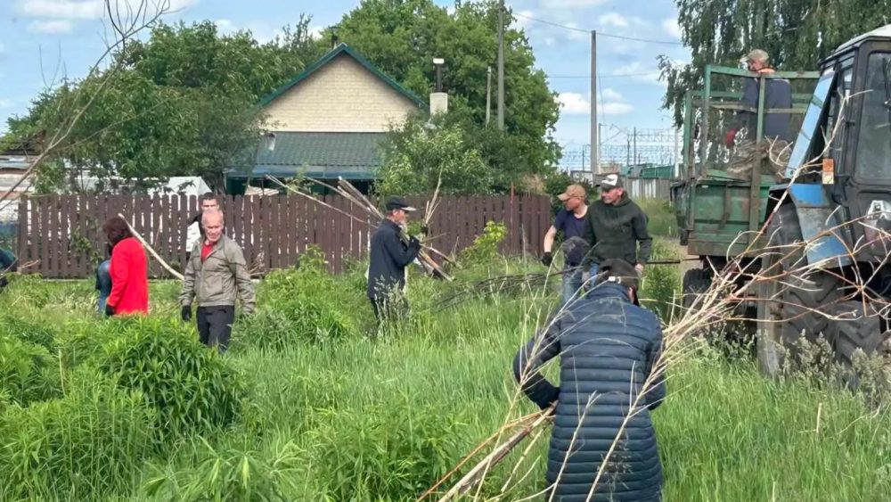 уборка и кошение травы на участке
