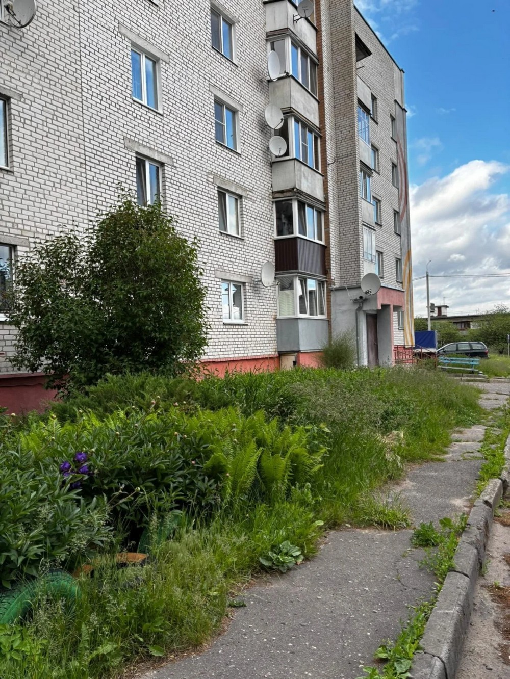 Двор на улице Пушкина в Слониме зарос травой