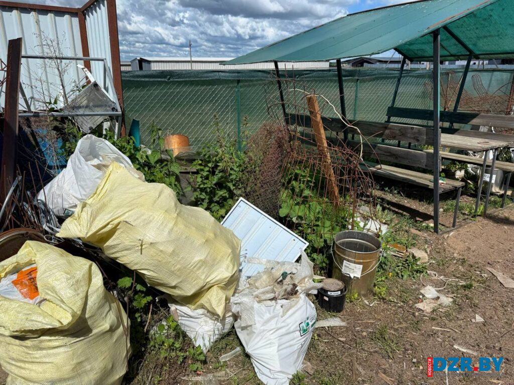 Состояние дворов в хозяйствах в деревне Томковичи. 
