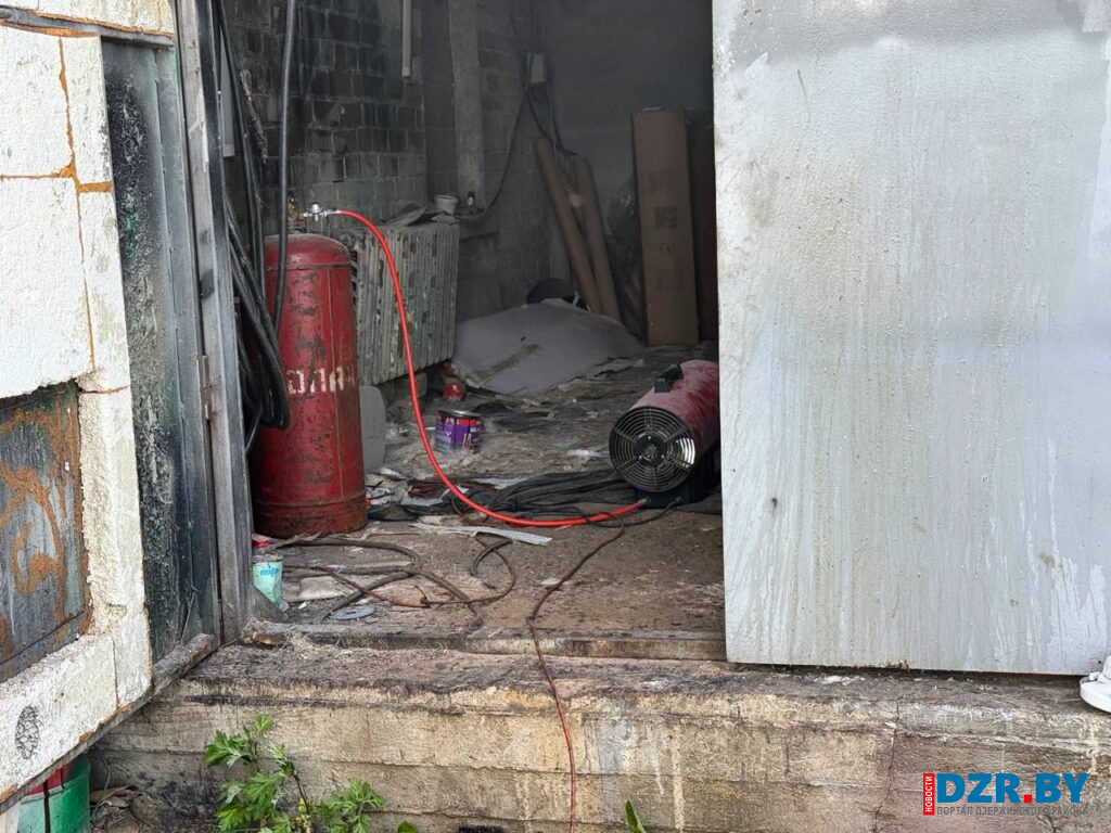 Состояние дворов в хозяйствах в деревне Томковичи