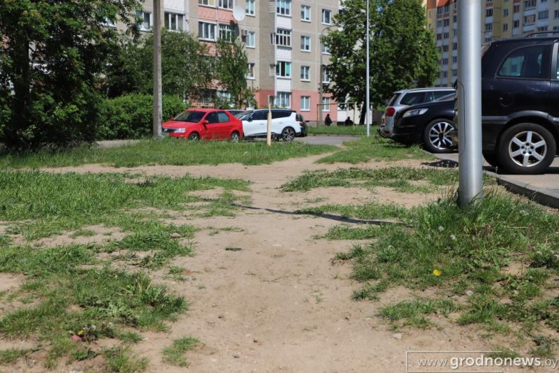 Вытоптанный газон в Гродно