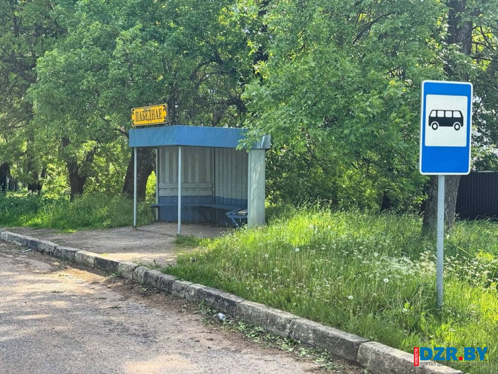 Заросшая обочина трассы на трассе Негорелое–Самохваловичи в Дзержинском районе