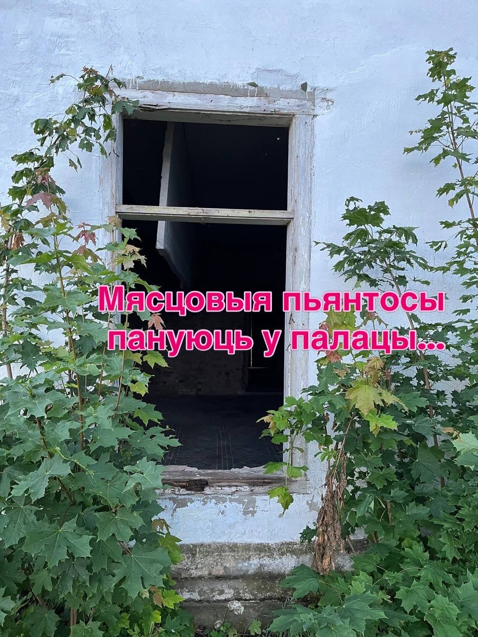 Состояние усадьбы в Подороске