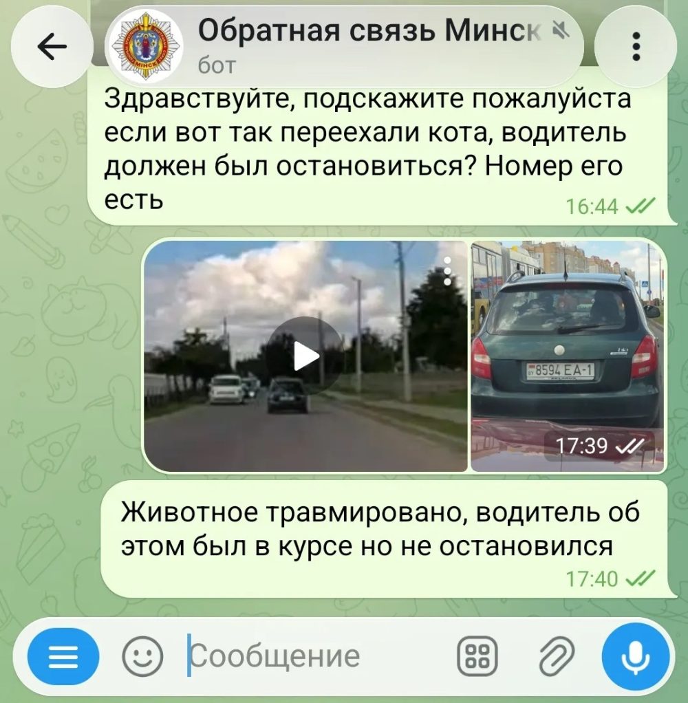 Сообщение автора поста в чат-бот МВД Беларуси