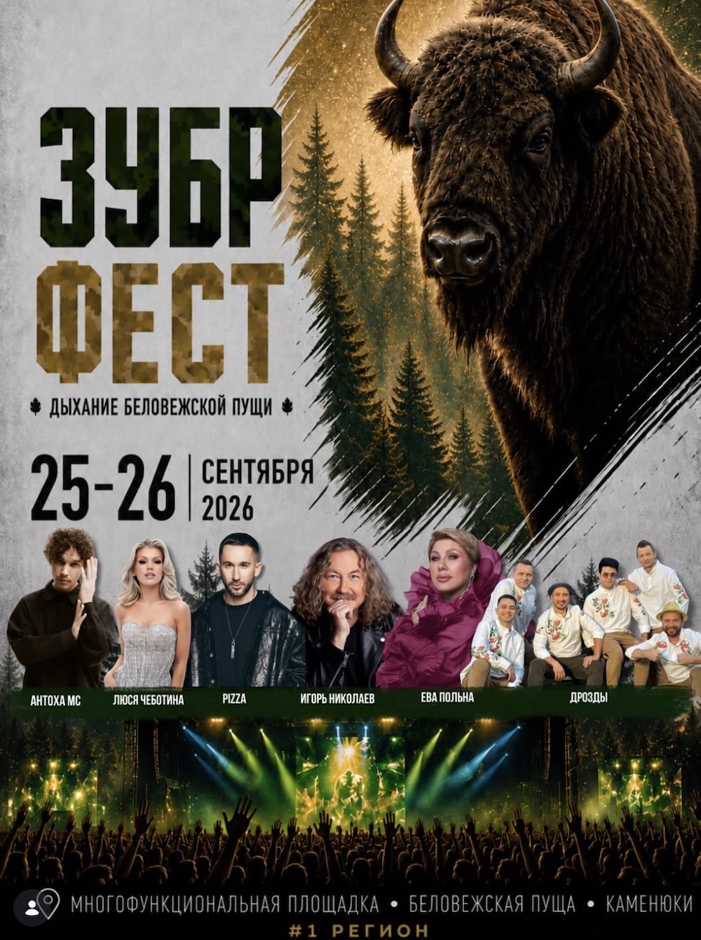 Программа «Зубр Феста»